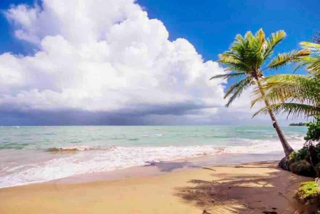 3Bedrm Beach Penthouse With Rooftop Terrace & Wifi Rio Grande Exterior photo
