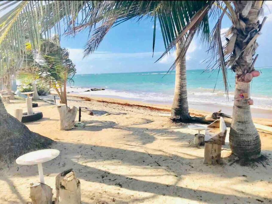 3Bedrm Beach Penthouse With Rooftop Terrace & Wifi Rio Grande Exterior photo